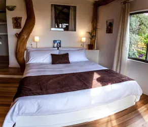 Kona Koa Lodge - Room