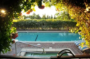 Vineyard Country Inn - Piscine