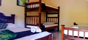 Hotel Natural Seaa - Room