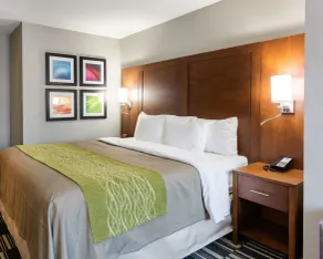 Quality Inn & Suites Ashland near Kings Dominion - Chambre