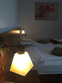 Pensiunea Buon Gusto Sibiu-motorcyle friendly,city center - Room