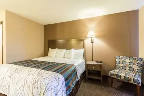 Red Wing Inn and Suite - Room