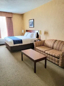 Comfort Inn - Room