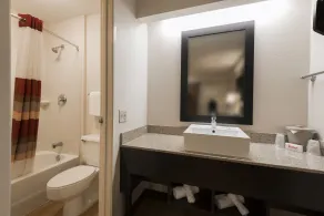 Red Roof Inn PLUS+ Chicago - Willowbrook - Salle de bain