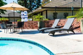 Hotel Piccadilly - Piscine