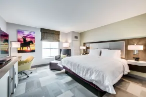Hampton Inn & Suites Fort Worth Downtown - Chambre