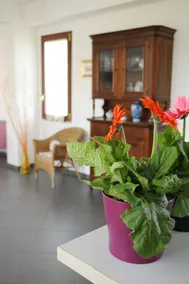La Circumetnea Home - Lobby