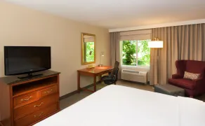 Hilton Garden Inn Seattle/Renton - Chambre
