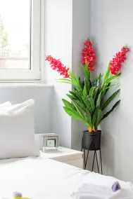 Bright 3-Bedroom Flat Parking 4KTV & Balcony - Rom
