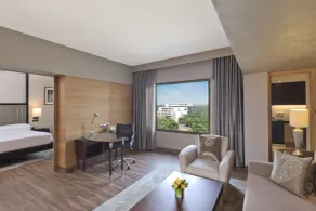Hyatt Regency Delhi - View from room