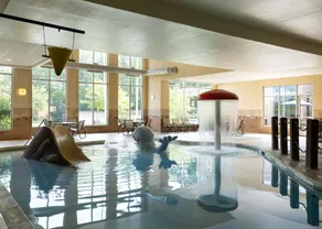Hilton Garden Inn Ann Arbor - Piscine