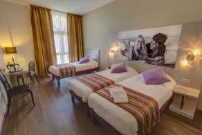 New Hôtel Camargue Arles - Chambre