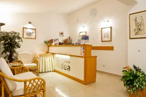 Villa Midea - Reception