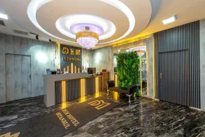 Dem İstanbul Airport Hotel - Réception
