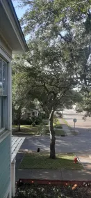 Baxter's Brewhouse Inn - View from room