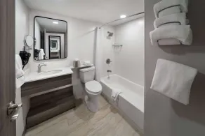 Ramada by Wyndham DFW Airport - Salle de bain