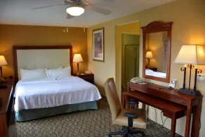 Homewood Suites by Hilton Brighton - Chambre