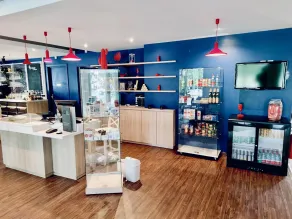 ibis Strasbourg Aéroport Le Zénith - Réception