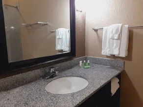 Holiday Inn San Antonio N - Stone Oak Area by IHG - Salle de bain