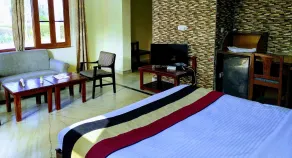 The New Swaraj Resort - Chambre