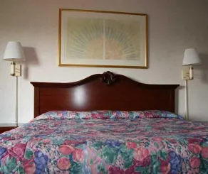 Rodeway Inn Syracuse Carrier Circle - Chambre