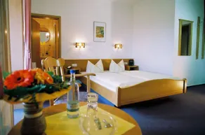 Hotel Zum Schneekopf - Habitación