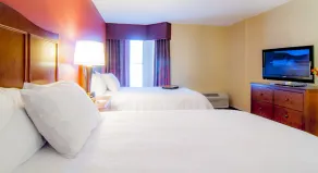 Hampton Inn & Suites Tampa-North - Chambre