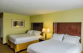 Holiday Inn Express Hotel & Suites Hamburg by IHG - Chambre