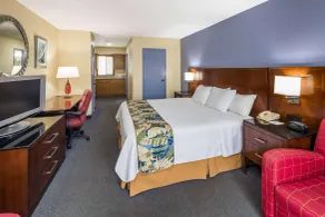 Days Inn by Wyndham Walterboro - Room