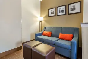 Comfort Suites Newark - Harrison - Chambre
