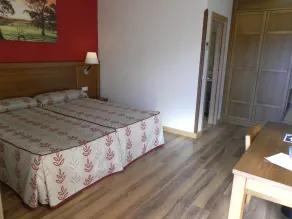 Hotel Milagros Rio Riaza - Room