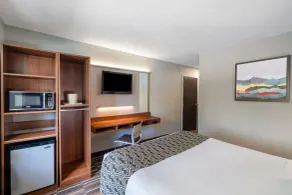 Microtel Inn & Suites by Wyndham Savannah/Pooler - Chambre