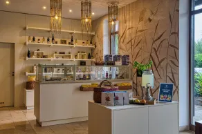Tisza Balneum Hotel - Rezeption