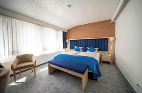 Hotel Zur Heidschnucke - Room
