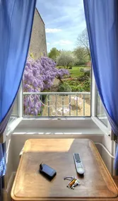 Hôtel De la Ferté Chagny - Vue de la chambre