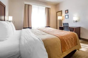 Comfort Inn Elko - Room