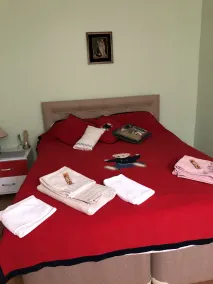 Mavi Ladin Konukevi - Room