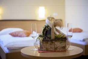 Hotel Bela Krajina - Zimmer