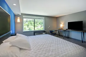 Tru by Hilton Deadwood, SD - Room