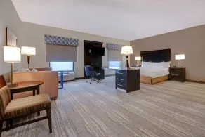 Hampton Inn & Suites Tampa Northwest/Oldsmar - Chambre