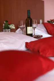 Hotel Zagi - Zimmer