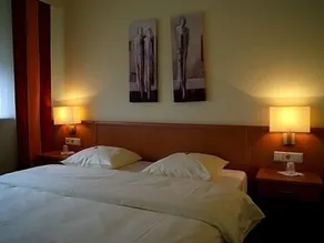 Logis Hôtel Acacia - Room