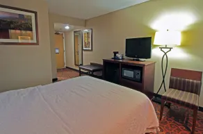 Hampton Inn Norfolk/Chesapeake (Greenbrier Area) - Chambre