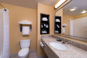 Holiday Inn Express and Suites Dickson City by IHG - Badezimmer