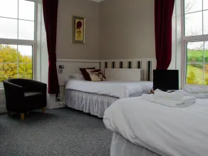 George Borrow Hotel - Værelse