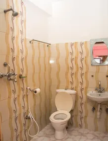Mount Blue Tourist Hostel - Bathroom