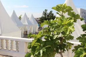 Tanger Med Hotel, Conference & Catering - Piscine