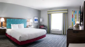 Hampton Inn & Suites Dallas/Lewisville-Vista Ridge Mall, TX - Chambre