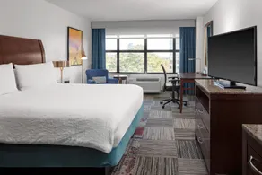 Hilton Garden Inn Atlanta Perimeter Center - Chambre