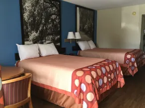 Super 8 by Wyndham Walterboro - Room